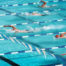 Swimming hobby