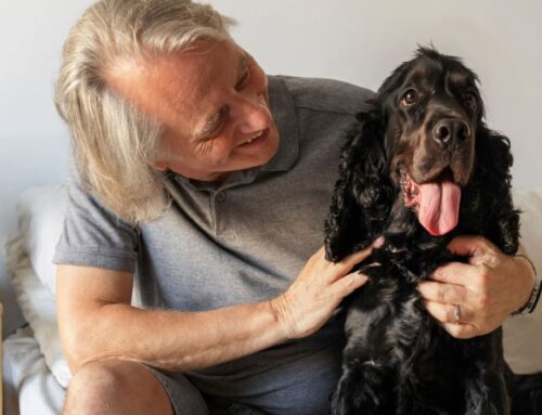 The Incredible Benefits of Owning a Dog