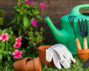 ABC Gardening Hobby