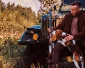 hunting dogs