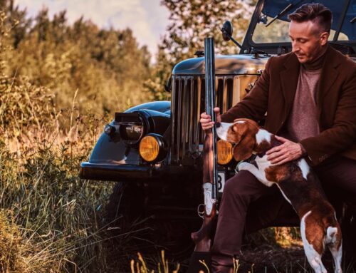 History of hunting dogs