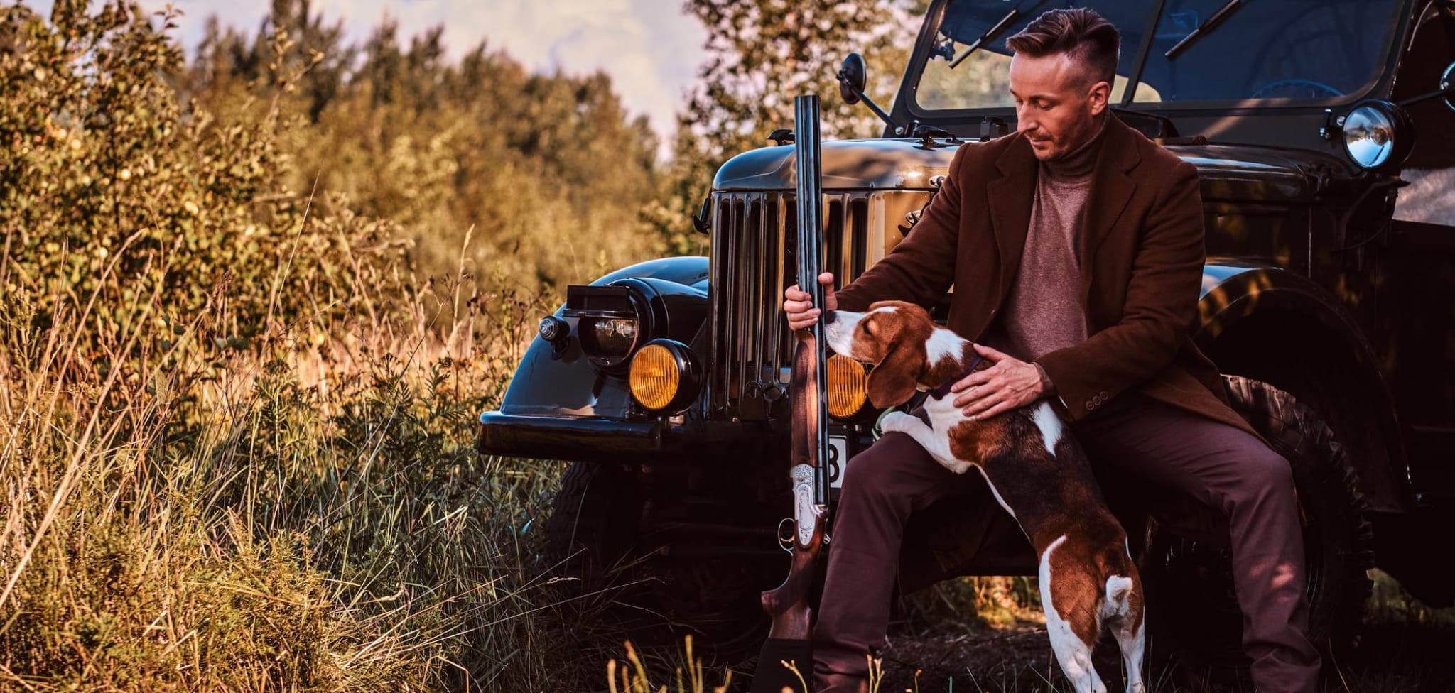 hunting dogs